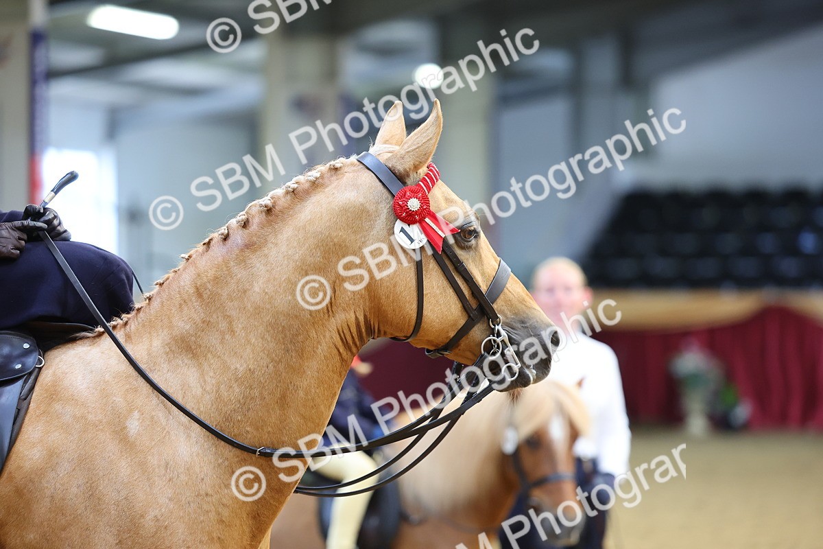 SBM_24394 - Class 906 - Supreme Final - Ridden Pre Vet