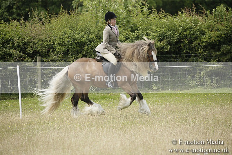 B230619-0434 - Bourne Valley Riding Club Summer Show 23/06/19