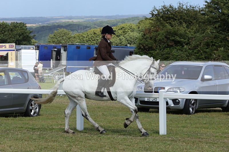 1X9A5856 - Class 41:. NPS New Forest & Connemara