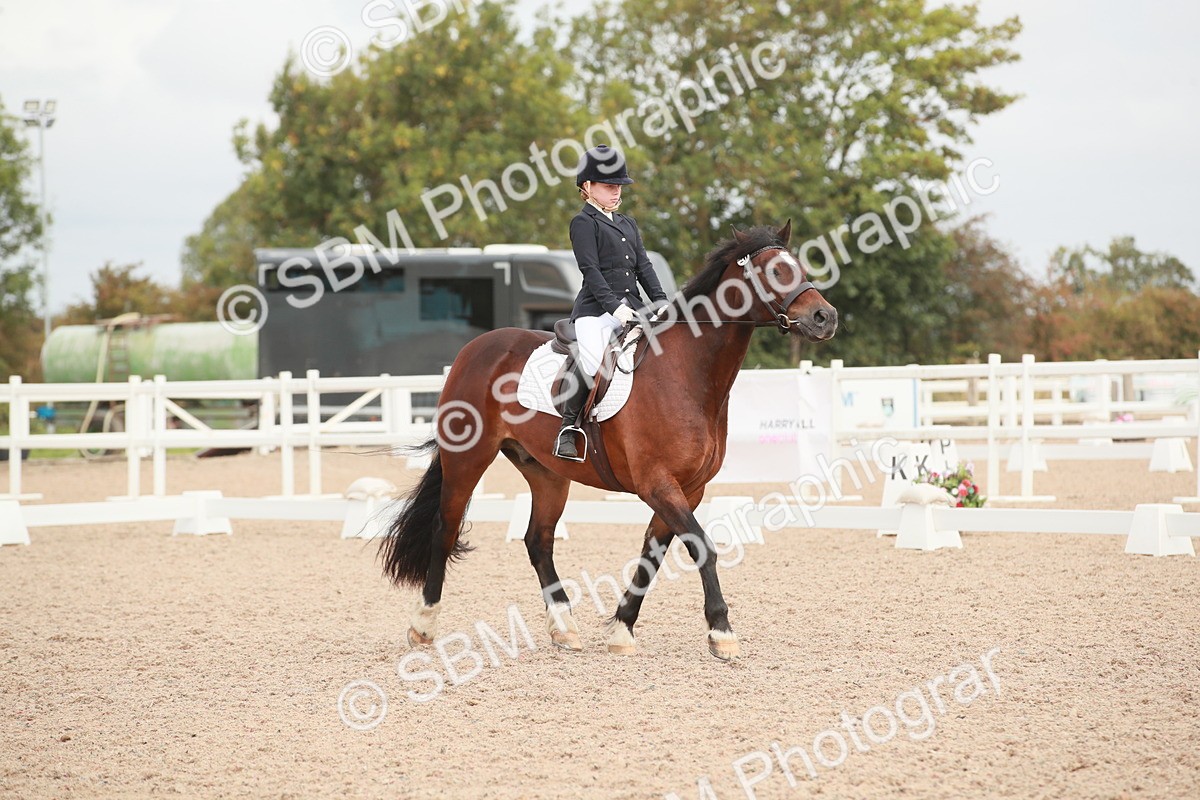 SBM_02600 - Class 30 - Intro 1