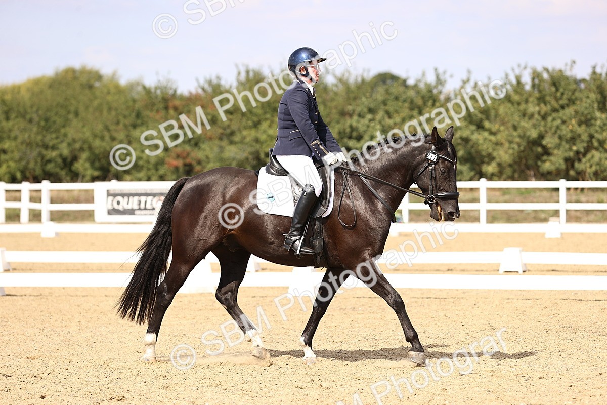 SBM_015034 - Class 6 - Elementary 5
