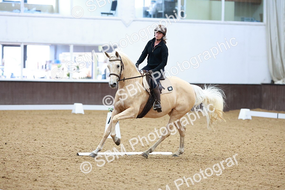 1I0A0635 - Class 3-6 - Prelim 1-Novice 2