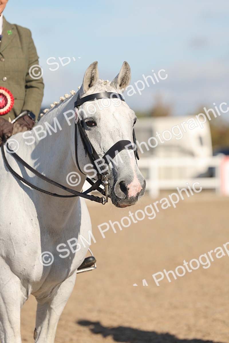 SBM_12247 - Class 303 - Ridden Pure Bred Horse Pony