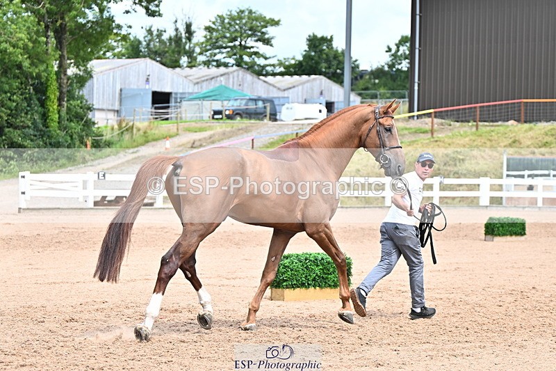 240718A-105321-01892 - Trot Up 1pm to 2pm