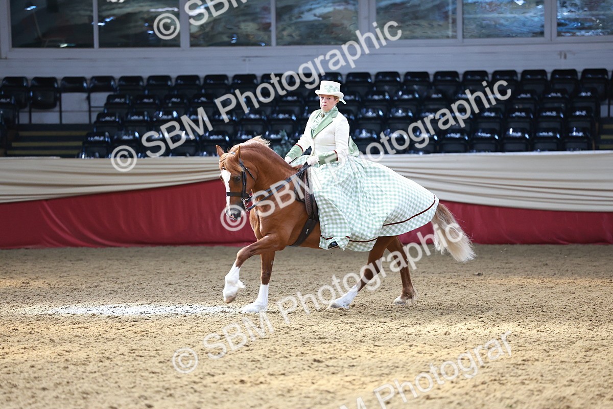 SBM_13710 - Class 106 - Ridden Costume -Astride Adult (15-19)
