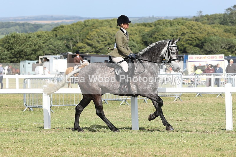 JPP_2890 - Class 20: Working Hunter 70cm