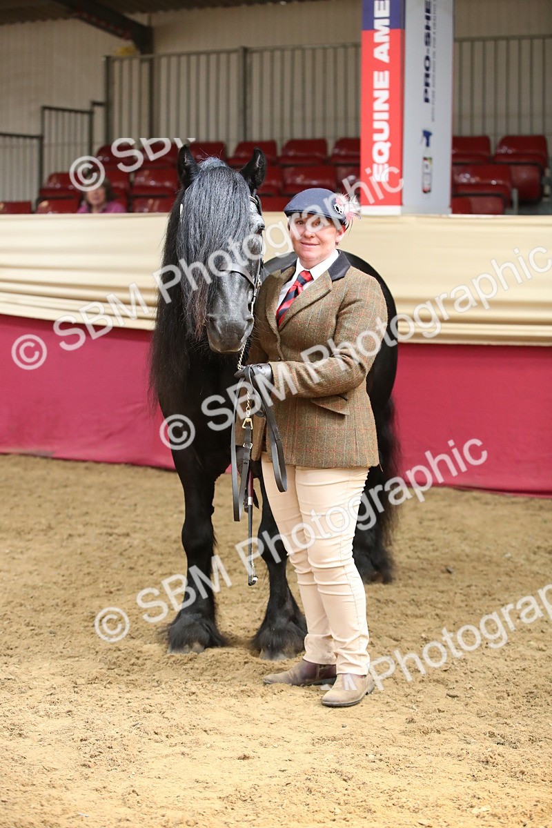 SBM_05400 - Class 8R - Regional IH Veteran