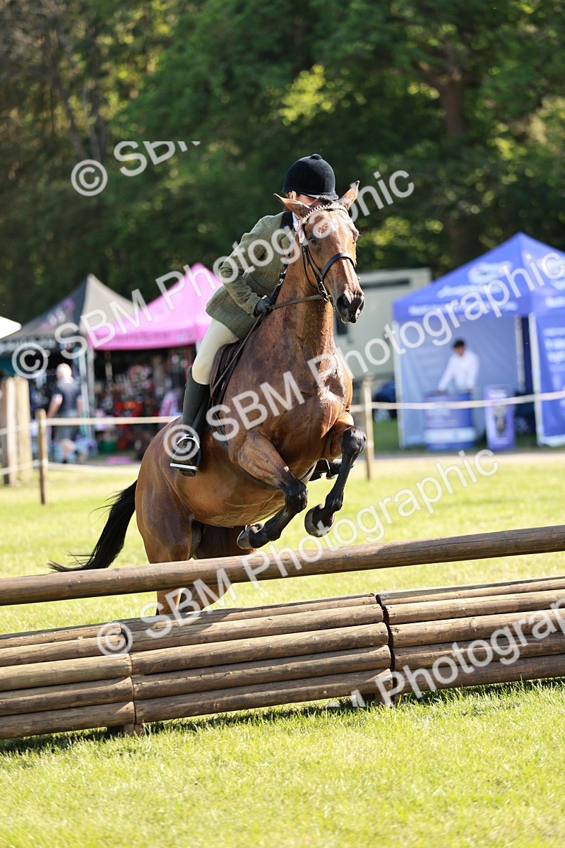SBM_19144 - Class 115-116 - LIHS BSHA Rising Star Working Hunter & Show Horse