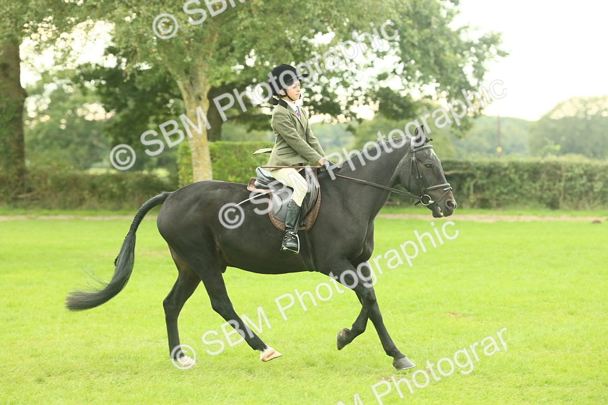 SBM_73932 - S 61 - Show Pony & Show Hunter Pony Ridden