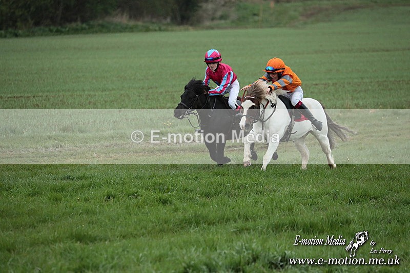 SHETPR 210425 78 - Shetland Ponies Paxford Races 21/04/25