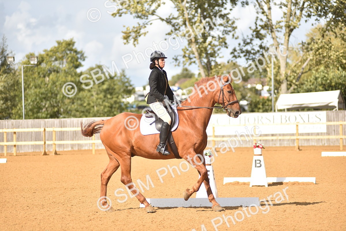 SBM_24237 - D4 - Small Tour Championship Intro 4