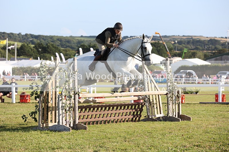 JPP_3337 - Class 22: Working Hunter 90cm