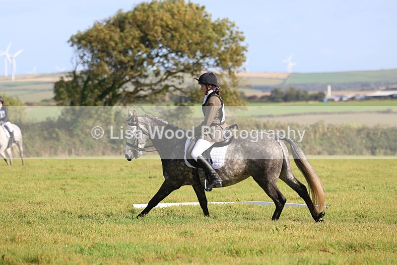 3E7A5765 - Class 1: Trebudannon Open: Dressage (Part 2)