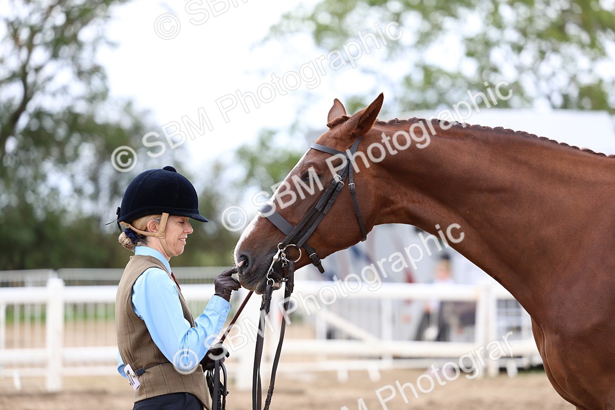 SBM_05065 - Class 27 - IH Competition Horse or Pony