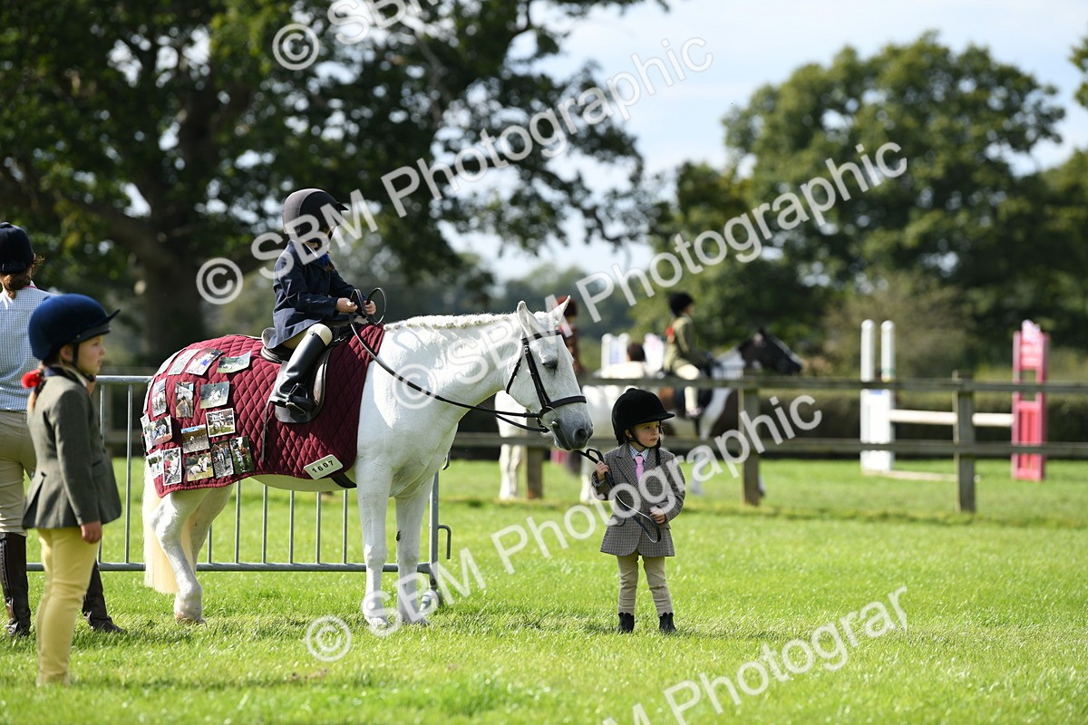 SBM_47086 - S12 - Family Horse & Pony