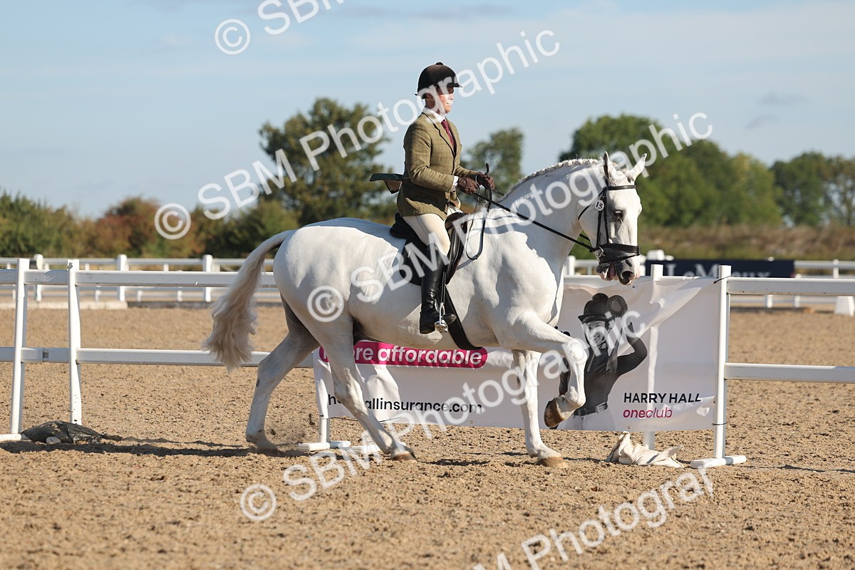 SBM_12175 - Class 303 - Ridden Pure Bred Horse Pony