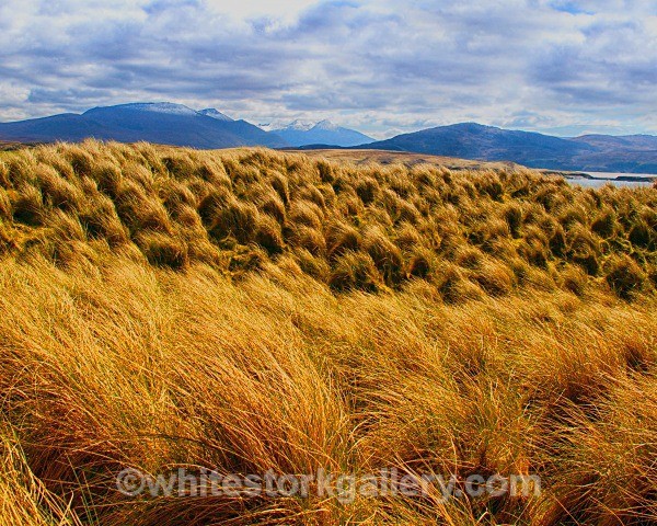 Sand Grass Mountains at Faraid Head - Scottish Highlands