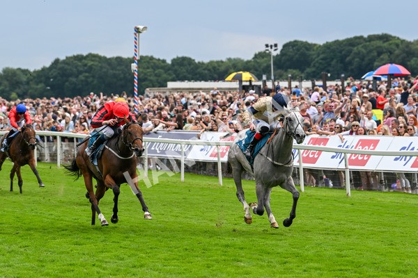 270724-Race 4-Greydreambeliever-7246 - Race 4 4.00pm Sky Bet Club EBF Fillies' Novice Stakes