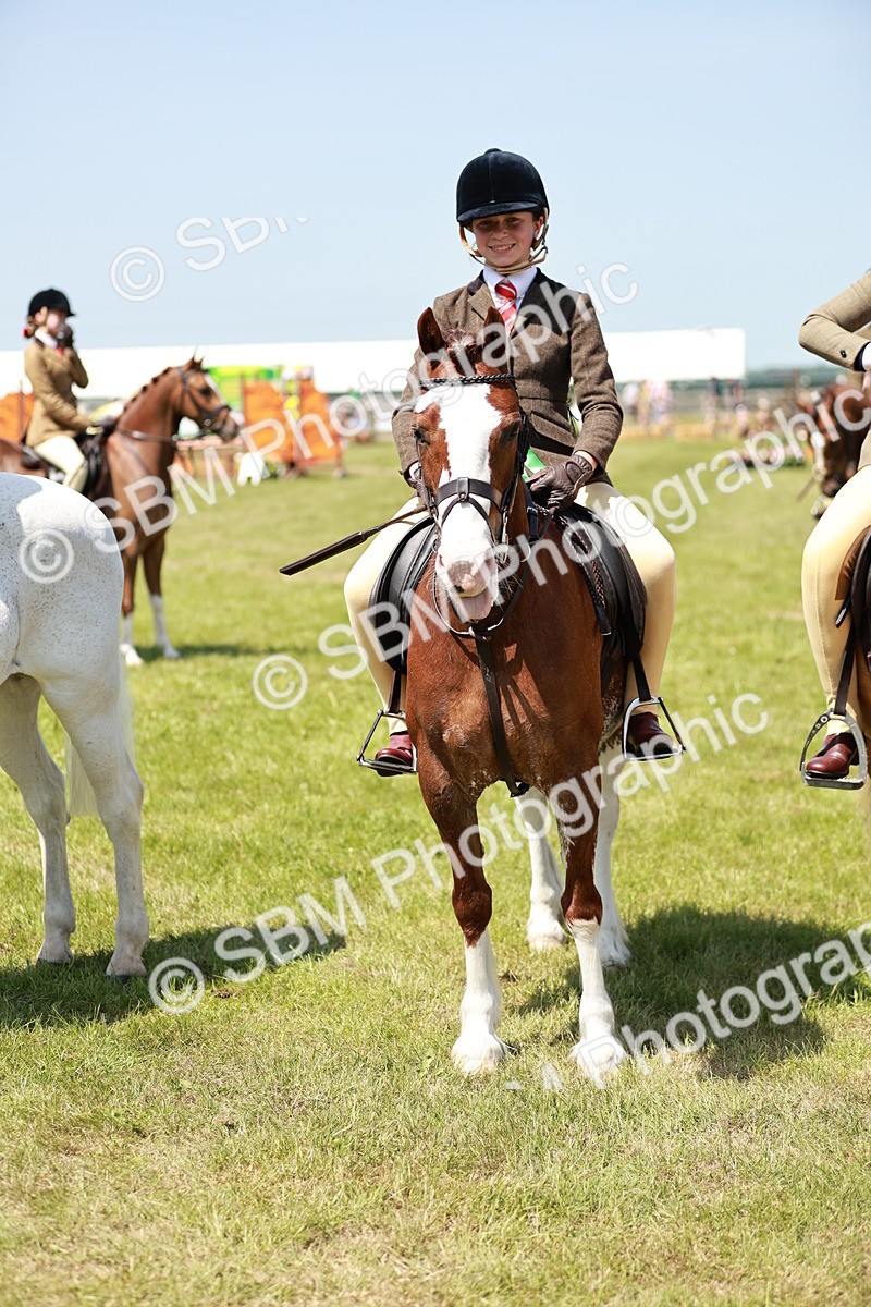 SBM_15723 - Class 108-109 - BSPS LIHS Open Gradle & Nursery Stakes