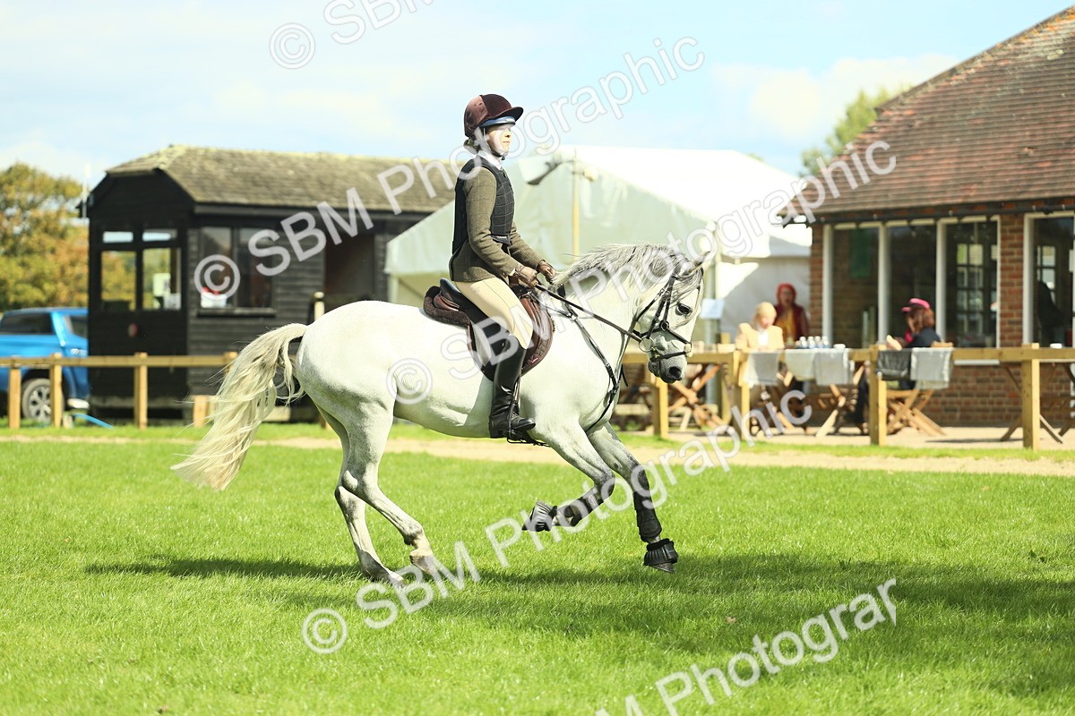 SBM_42946 - S30 - M&M Working hunter Pony