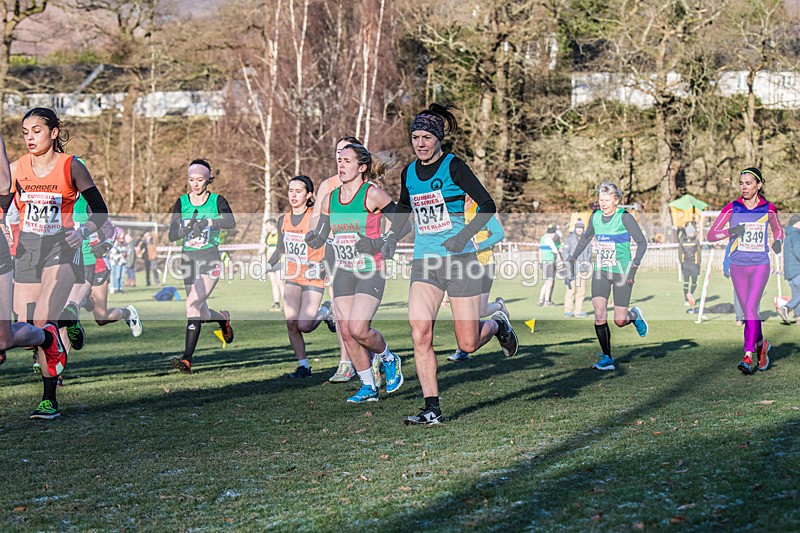 Cumbria XC-587 - Cumbria Cross Country Championships (Junior & Senior Races) Saturday 3rd January 2026