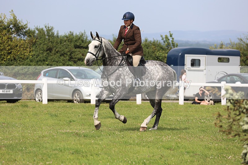 JPP_3988 - Class 24: Working Hunter 90cm