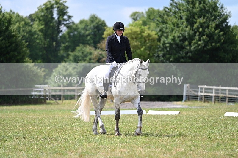 WJ7_4893 - Time 11:22 to 11:51