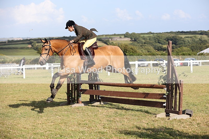 JPP_3204 - Class 21: Working Hunter 80cm