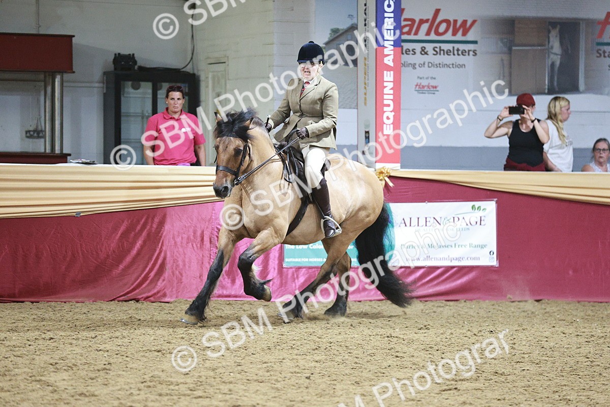 SBM_08112 - Class 11R - Regional Ridden Veteran