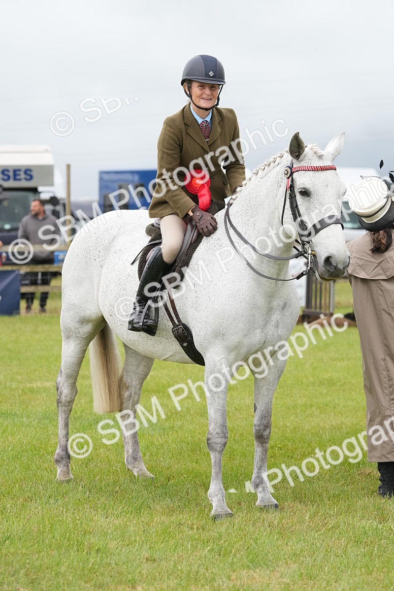 SBM_10643 - Class 97-98 - LIHS BSHA Rising Star Working Show Horse Hunter