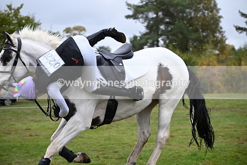 WJ6_3520 - 90cm Cam 1 Time 13:07 to 13:34