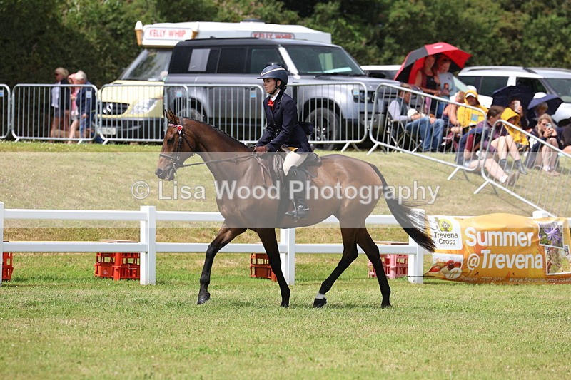 3E7A2358 - Class 11: Retraining of Racehorse