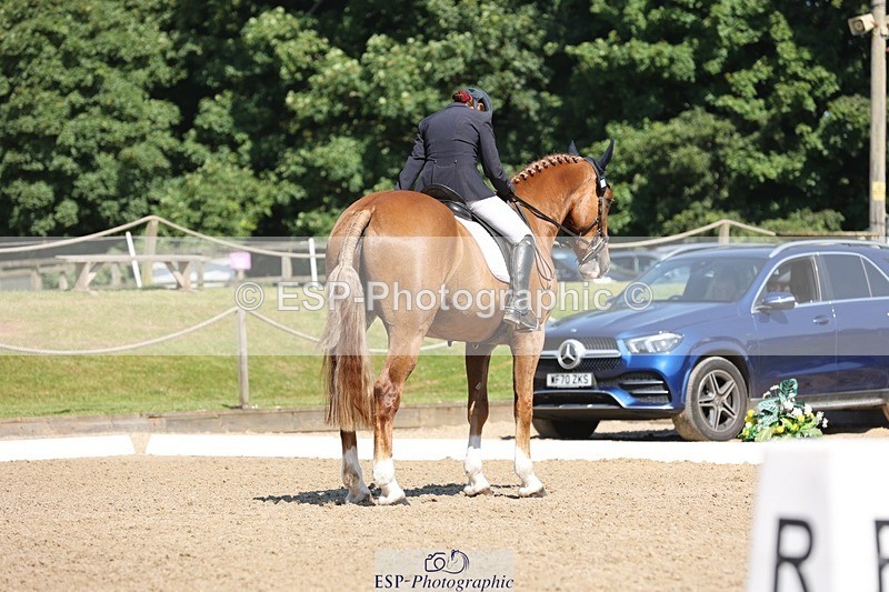 240719-104056-00769 - 223-Deborah_Randall-Sandy's_Bertie