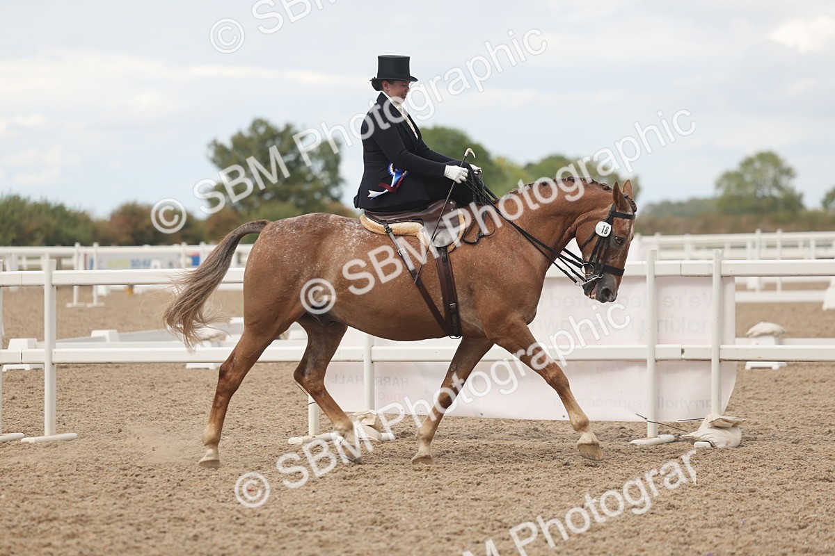 SBM_06338 - Class 24 - SSA Concours d'Elegance