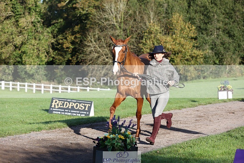 241027-091143-15098 - 314-Beth.Jones-FANTASY.CHILLI.(GB)