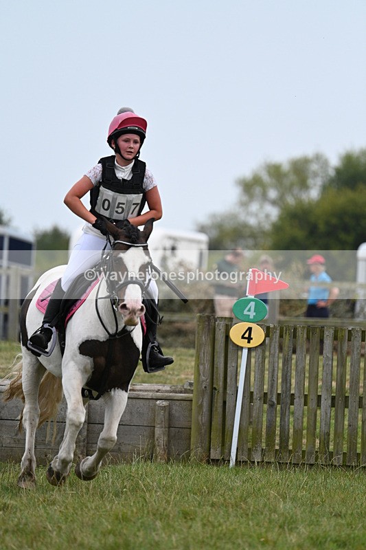 WJ7_8509 - 80cm XC Time 15:45 to 16:02