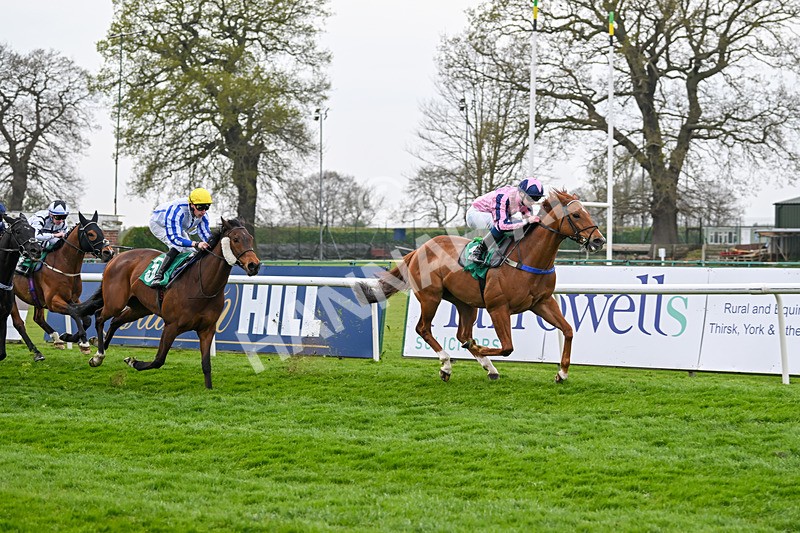 120425-Race 4-Alzahir-1166 - Race 4