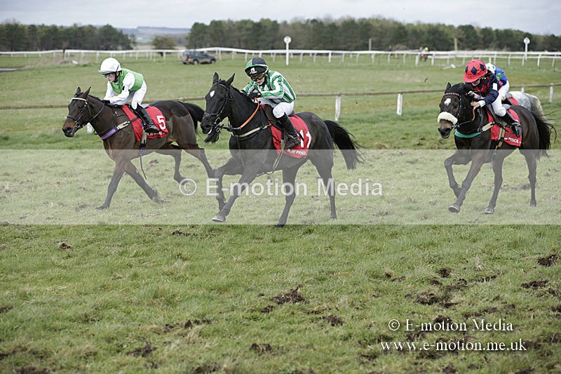 PtP 150320 0764 - New Forest Point-to-Point Larkhill 15/03/20