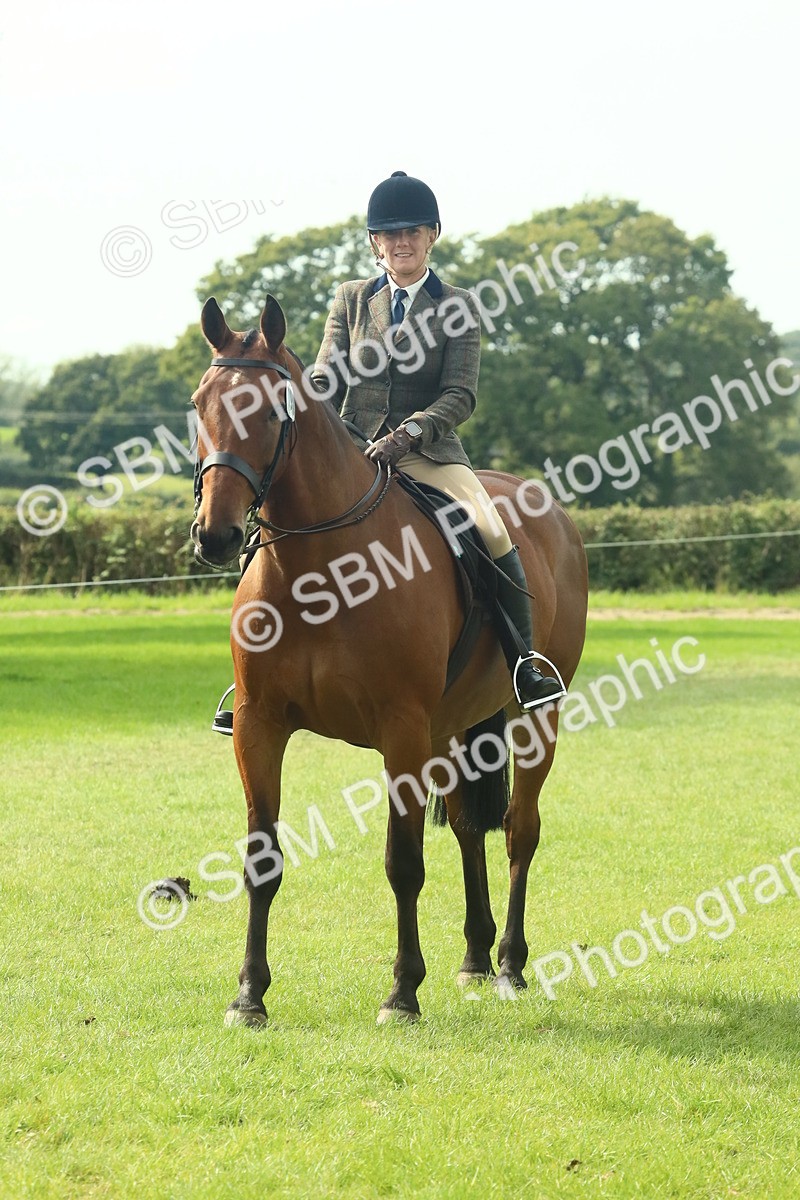 SBM_66717 - S34 - Rehabilitated Rescue Horse & Pony In Hand & Ridden