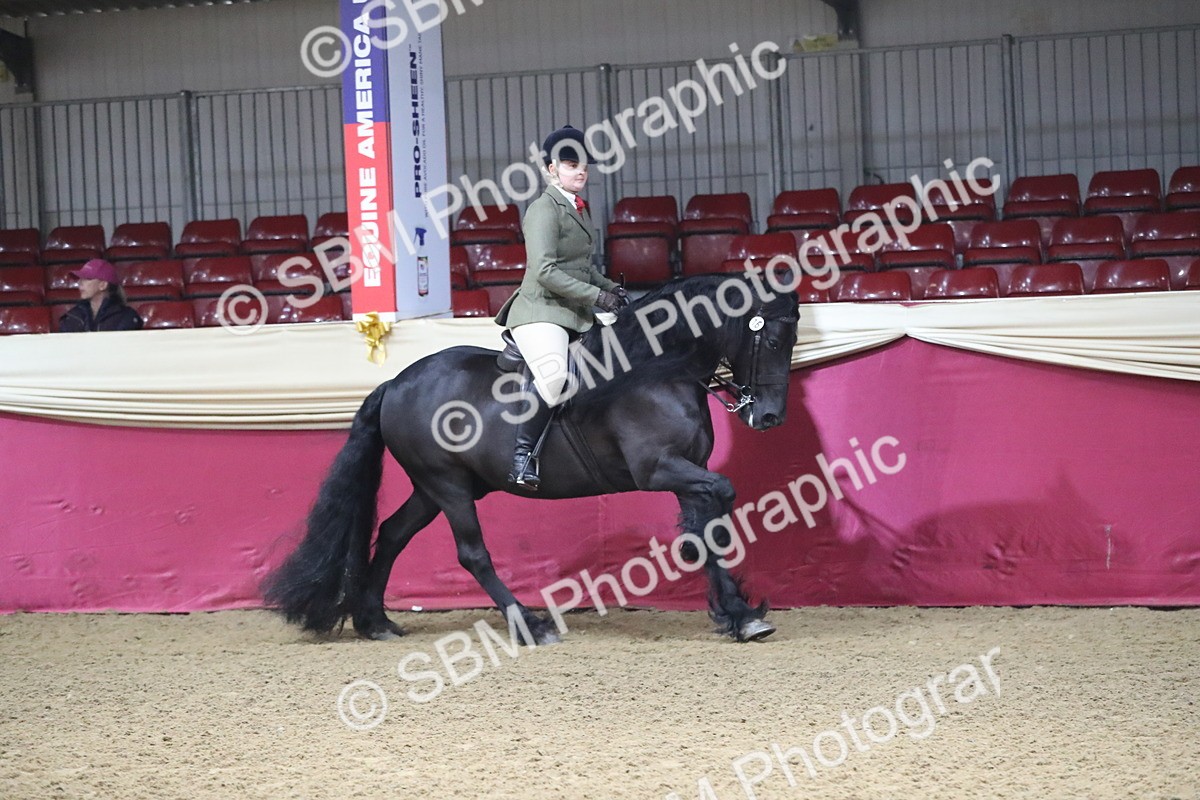 SBM_10391 - Class 102 Equitation (best rider) Adult