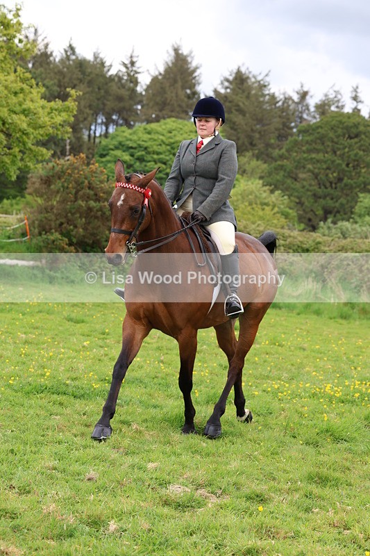 3E7A1784 - Class 9: Riding Club Horse/Pony