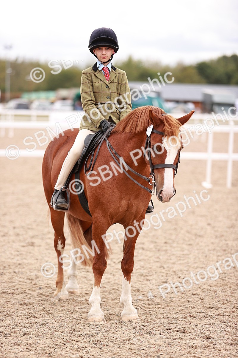 SBM_18578 - Class 421 - Childs Best Friend - Jnr