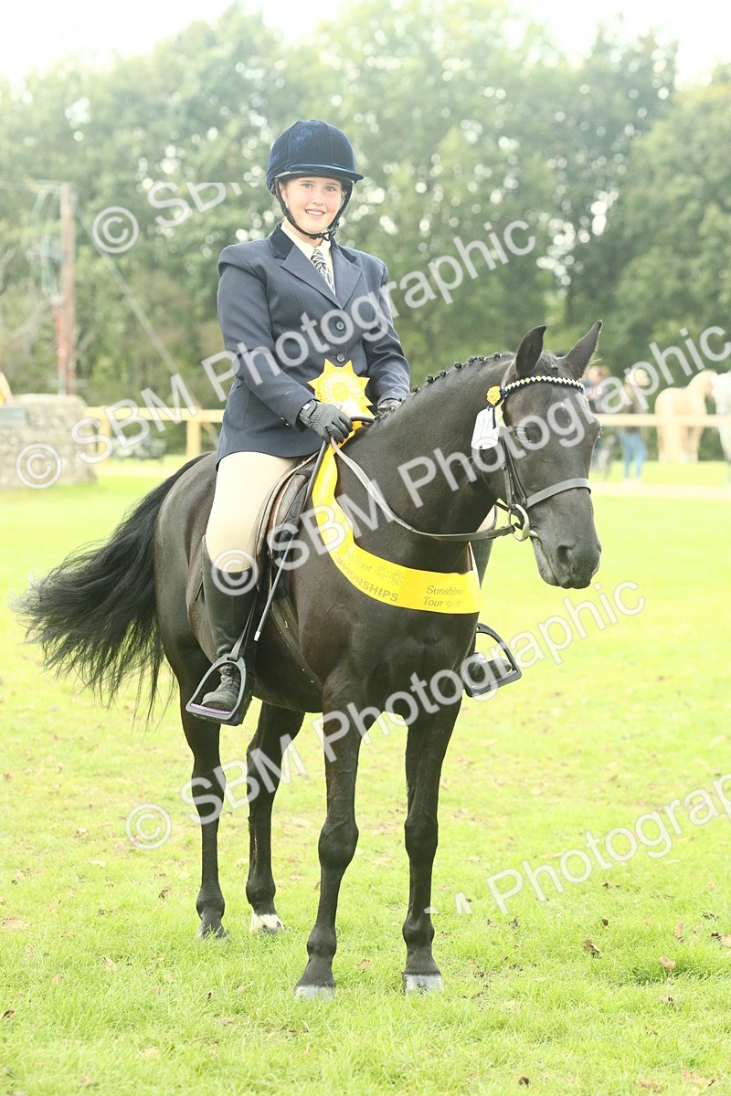 SBM_74143 - S 61 - Show Pony & Show Hunter Pony Ridden