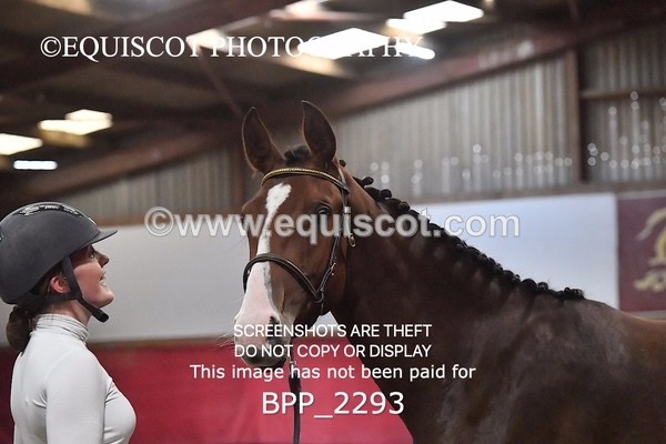 BPP_2293 - AFTERNOON 12.30 - 3.30PM