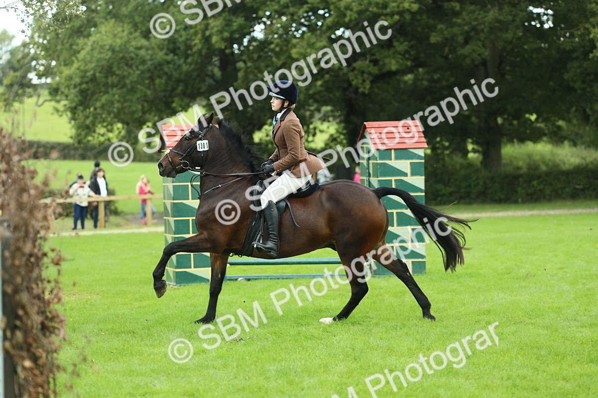 SBM_43014 - S30 - M&M Working hunter Pony