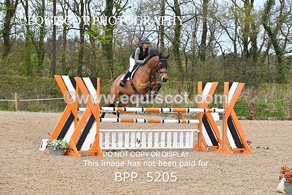 BPP_5205 - CLASS 19 SUN Senior Foxhunter/ 1.20m Open