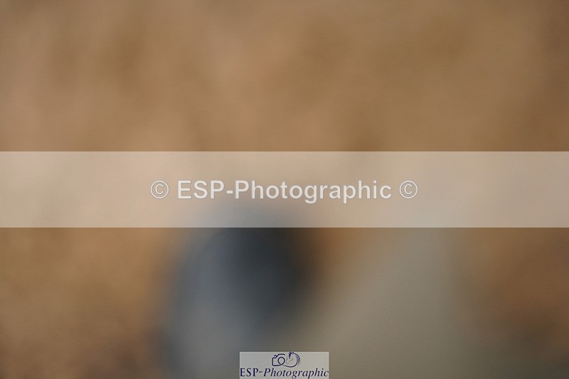 240317A-103016-04854 - Cls 25 Snr 1.20m Open