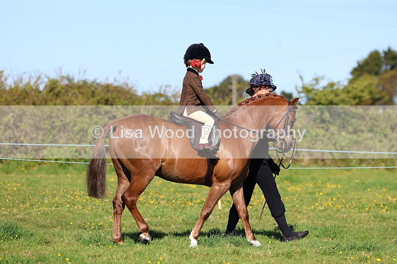 3E7A8470 - Class 2: Lead rein