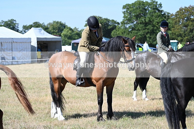WJ7_3830 - Class 9 Mountain & Moorland Ridden