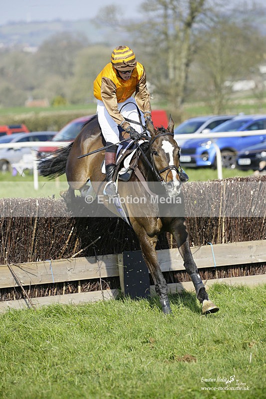 PtP 200322 251 - Mendip Farmers Point-to-Point 20/03/22